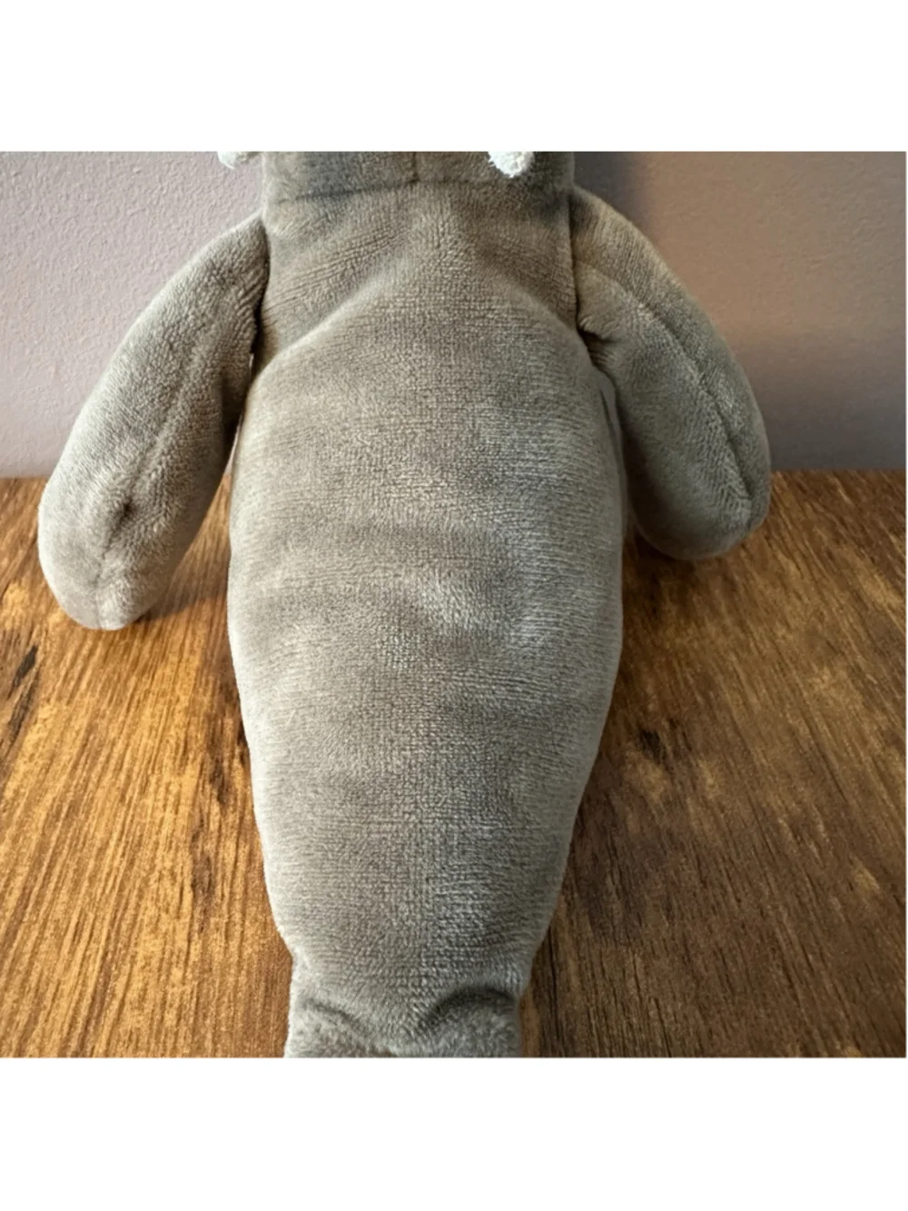 Jellycat Wrinkles Walrus 8” Collectible Plush Toy Stuffed Animal Rare & VHTF